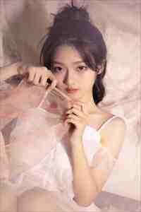 绝命毒师：全集小说