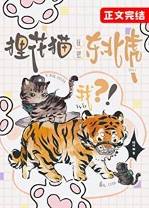 我，狸花猫，抚慰东北虎？