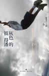 灰色的彼得潘:池袋西口公园6