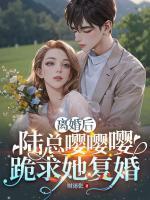 离婚后,陆总嘤嘤嘤跪求她复婚