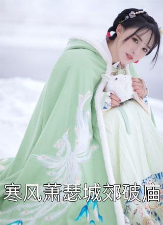 完整作品亿万富翁狂氪金,秒变电子财神