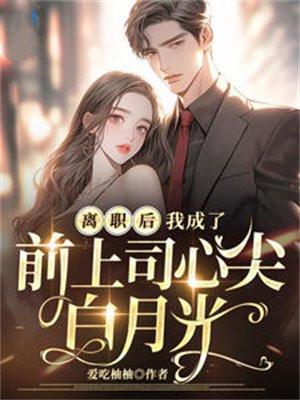 离职后,我成了前上司心尖白月光